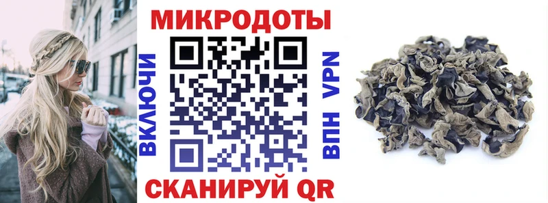 дарк нет наркотические препараты  Кондопога  Псилоцибиновые грибы MAGIC MUSHROOMS 